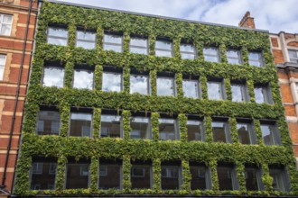 Green facade in Bloomsbury, Camden, West End, London, England, UK, Great Britain, United Kingdom,