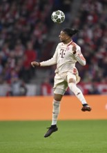 Header action Michael Olise FC Bayern Munich FCB (17) Champions League, Allianz Arena, Munich,