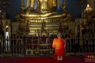 Monk meditating in front of the Phra Buddha Chinnarat, Buddha statue with Bhumispara-mudra, Buddha