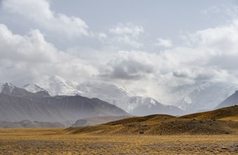 Glaciated, cloud-covered mountain peaks and golden meadows, Lenin Peak, Trans Alay Mountains, Pamir