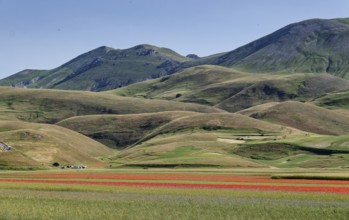 Mountain landscape on the edge of the Pian Grande di Castelluccio di Norcia plateau in the Monti