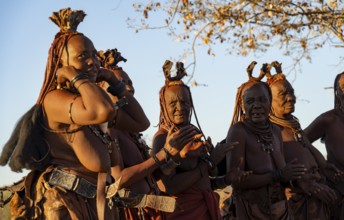 Traditional Himba woman clapping, music and dance, portraits, in the evening light, near Opuwo,