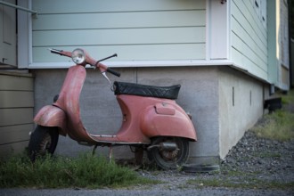 Pink-coloured Vespa in front of a house wall, Naantali or Nådendal, Baltic Sea coast, Finland,