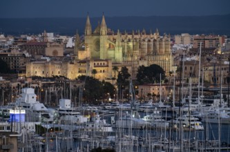 Panorama of Palma de Majorca, Bay of Palma, with the marina and the Cathedral of St Mary, Balearic