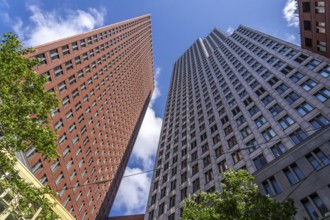 High-rise buildings in the city centre near the central station, Skyline, in the city centre of The