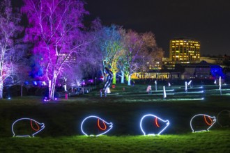 Parkleuchten, event in winter, in the Grugapark in Essen, many different light installations,