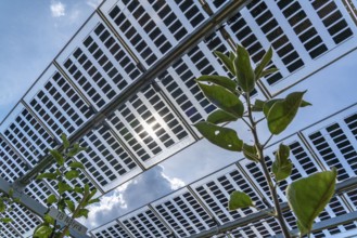 Agri-photovoltaic test plant, an apple orchard with two different systems of PV modules was roofed