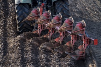 Farmer ploughing a field, tractor with plough, near Neuss, North Rhine-Westphalia, Germany, Europe