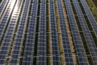 Agri-photovoltaic test plant, an apple orchard with two different systems of PV modules was roofed