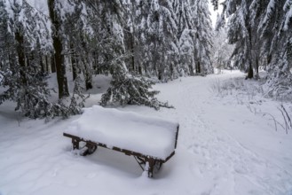 Winter in Sauerland, Hochsauerlandkreis, at Kahler Asten, near Winterberg, few tourists, visitors,