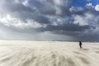North Sea, Spiekeroog Island, autumn, strong wind drives the sand over the mudflats at low tide,