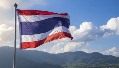 Flags, the national flag of Thailand flutters in the wind