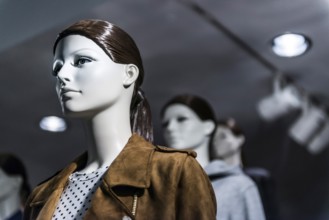 Mannequin, mannequin head, mannequin, shop window, fashion, jacket, clothes, shop, shop, shopping,