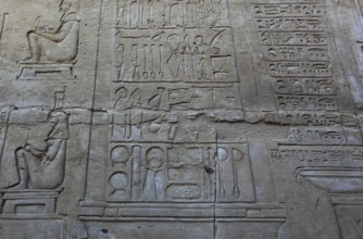 The medical relief in the Kom Ombo Temple on the Nile, Africa, Upper Egypt, Egypt, Africa