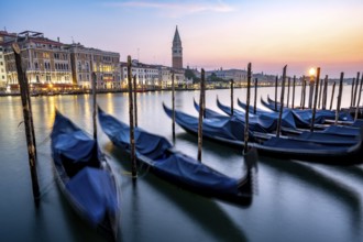 Venetian gondolas, boat dock at the customs office on the Grand Canal, Gondola Traghetto Dogana,