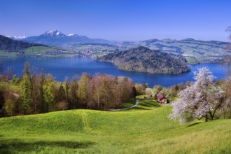 View of Lake Zug with Chiemen peninsula, behind it Mount Pilatus, Cantons Zug, Schwyz, Lucerne,