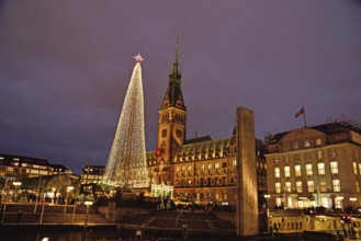 Europe, Germany, Hamburg, City Hall, Christmas, Tree of Lights, Hamburg, Hamburg, Federal Republic