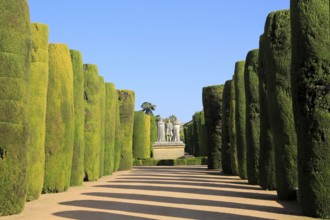 Gardens of the Alcázar de los Reyes Cristianos, Alcazar, Cordoba, Spain, Europe