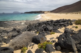 Sandy beach Playa de las Conchas, Graciosa island, Lanzarote, Canary Islands, Spain, Europe