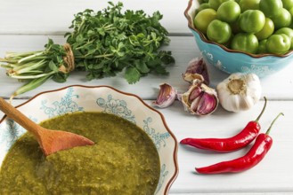 Tkemali sauce, traditional Georgian cuisine, green cherry plum, with ingredients for sauce,