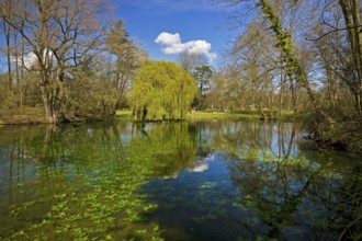 Paffendorf Castle, Castle Park, Route of Garden Art between the Rhine and Meuse with forest nature