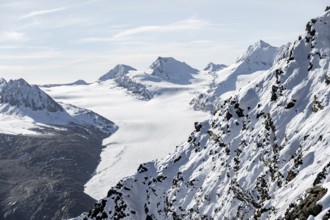 Mountain peak and glacier in the morning light, Gurgler Ferner with summit Falschungsspitze, Ötztal