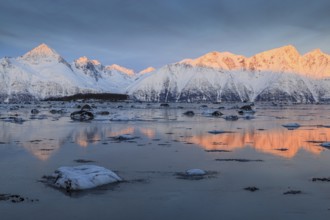 Morning light, mountains, snowy, reflection, sea, coast, fjord, winter, Lyngen Alps, Norway, Europe