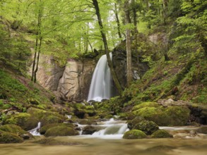 Waterfall, Finstersee, Canton Zug, Switzerland, Europe