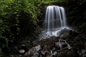 Waterfall on the Schenner Waalweg, Neuwaal, stream, long exposure, Schenna, Scena, South Tyrol,