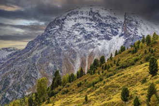 Overgrown mountain slope, behind the summit of Mount Scex Marenda, near Grimentz, Val d'Anniviers,