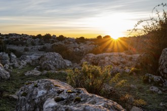 Bizarre limestone rock formations, El Torcal nature reserve, Torcal de Antequera, Malaga province,