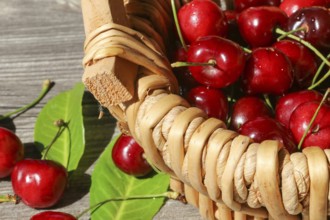 Close-up of delicious sweet cherries