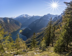 Panoramic view of the Königssee from the Archenkanzel viewpoint, autumnal forest and snow-capped