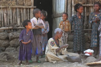Amhara region, simple family, small farm, children, woman sitting on the ground plucking cotton,