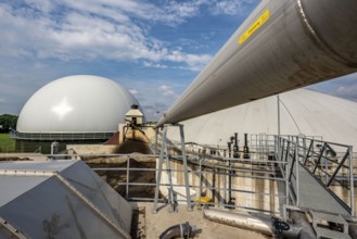 Biogas plant, gas storage, with dome, use of solid manure as energy source, gas pipelines, on a