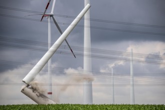 Demolition of the tower of a 20 year old wind turbine, in the Werl wind farm, 5 old Enercon E-66