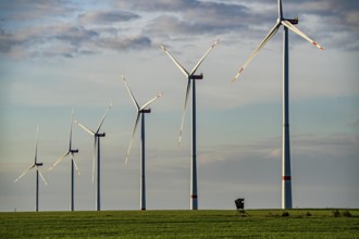 RWE wind farm near Bedburg, at the Garzweiler opencast mine, on recultivated part of the opencast