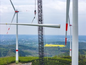 Erection of a wind turbine, wind energy plant, assembly of the third blade, with a crawler lattice