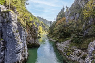 A narrow suspension bridge in the middle of a wooded, rocky area, Klobenstein