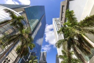 Miami downtown financial skyline and business shopping center near Biscayne bay and South beach