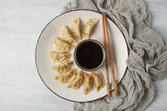 Japanese Gyoza dumplings, fried, with sauce, top view, without people, tinted, selective focus