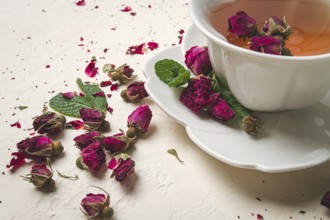 Cup of tea, damask rose, pink tea, close-up