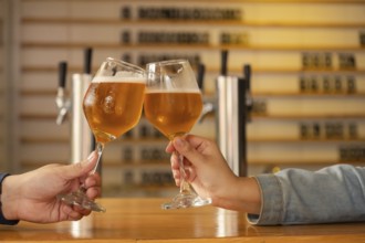 Close-up of two hands clinking glasses of craft beer in a modern bar. The atmosphere is warm and