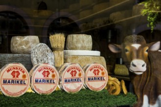 Cheese shop, Cheese shop, Old town, Colmar, Alsace, Bas-Rhin, France, Europe