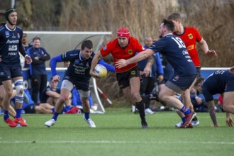 Rugby: Germany against MKS Pogon Awenta Siedlce, Poland in Heidelberg (test match of the German