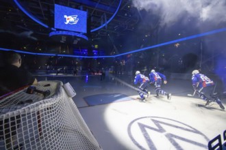 20.09.2024, DEL, German Ice Hockey League season 2024/25, Matchday 1: Adler Mannheim against