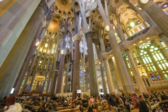 Nave, ceiling vault, columns, Sagrada Familia, Basilica by Antoni Gaudi, Barcelona, Catalonia,