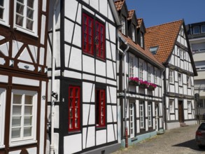 Half-timbered houses, Auf den Dielen, Paderborn, Westphalia, North Rhine-Westphalia, Germany,