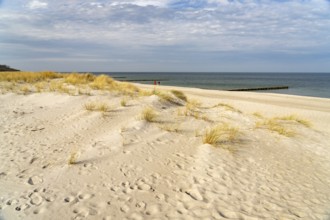 Dunes on the Baltic Sea beach in Graal-Müritz, Mecklenburg-Vorpommern, Germany, Europe