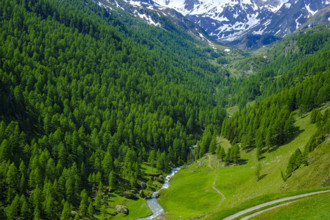 Mountain scenery in the Passeier Valley above Rabenstein, moss in Passeier, South Tyrol, Italy,